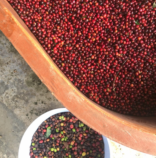 Wooden bowl filled with red berries on a concrete surface